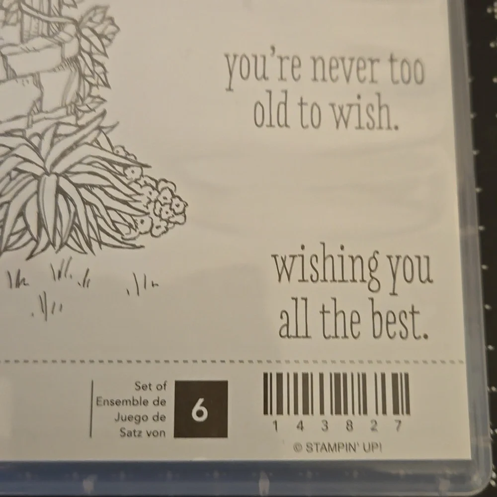 Stampin Up Bright Wishes rubber stamp set